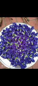 Extracto de Flor de Mariposa para Productos Antienvejecimiento para el Cuidado de la Piel, Antioxidante Natural, Precio al por Mayor para Fabricantes de Cosméticos - Product Image 4