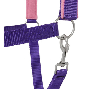 Harnais pour cheval en nylon violet avec rembourrage rose et boucles métalliques pour l'équitation et l'entraînement - Product Image 2