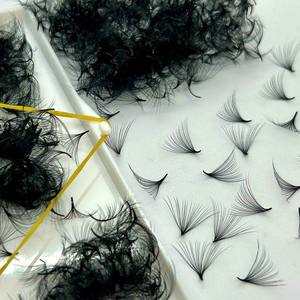 20D D/DD/CC/M/L Curl 0.03 0.05 Thickness Handmade Pointy Base Matte Black <b>Premade</b> <b>Fans</b> Eyelash Extensions Supplier Viet Nam - Product Image 1