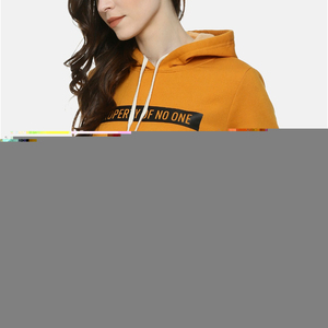 Vente en gros de sweats à capuche unisexes pour hommes et femmes, 100% coton, en molleton épais pour l'hiver, surdimensionnés, avec logo personnalisé DIY, super velours - Product Image 5