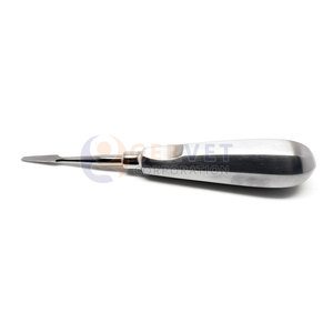 เครื่องมือถอนฟัน Gervet Pakistan ยี่ห้อ Cogswell A รุ่น Root Elevator ขนาด 6.25 นิ้ว ปลายตรง 4 มม. ผลิตจากเหล็กกล้าไร้สนิมเยอรมัน - Product Image 2