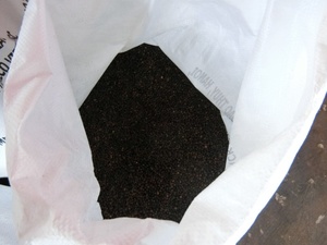 Pimienta Negra de Vietnam en Oferta, 500GL 550GL FAQ, Pimienta Entera Seca, Suministro de Fábrica, Exportación a Granel, Especias al por Mayor - Product Image 6