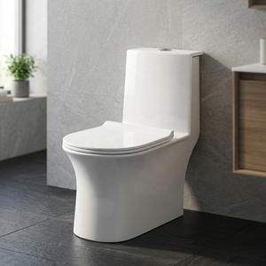 Premium Long Lasting One Piece Ceramic Water Closet Western Monobloc Toilet Sanitary Ware For Modern Bathroom - Product Image 1