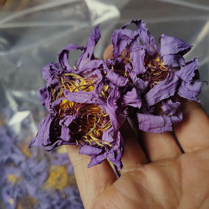Thé aux fleurs de lotus bleu séchées, fleurs entières, en vrac, thé santé du Vietnam pour mélanges de thé, durée de conservation de 2 ans - Product Image 5