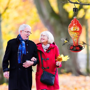 ตัวป้อนนกฮัมมิงเบิร์ดทำจากแก้วแบบมือเป่า1ชิ้นของตกแต่งสวนขนาด33ออนซ์5พอร์ตให้อาหารดอกไม้แขวนคูเมือง - Product Image 1