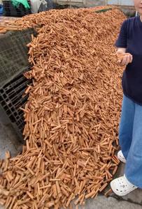 Suministro Directo de Fábrica en Vietnam, Canela Aromática 2026 - Product Image 4