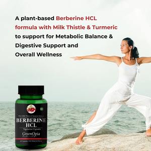 Capsules de berbérine HCL GreenOpia |   Extrait de berbérine, de chardon-marie et de curcuma |   60 Capsules végétariennes |   Complément alimentaire pour adultes | - Product Image 3