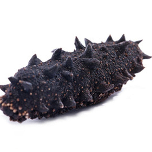 Pepino de mar seco a precio de mayorista en venta - Product Image 1