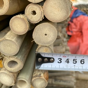 Poteaux en bambou très demandés pour la décoration intérieure, les expositions événementielles et la production artisanale traditionnelle du Vietnam - Product Image 5