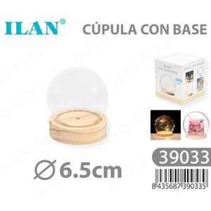 Dôme Ilan avec base de 6,5 cm pour fleurs éternelles - Product Image 3