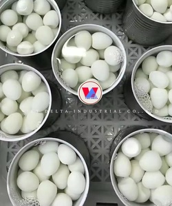 ไข่นกกระทาเกรดพรีเมี่ยม - Product Image 4