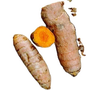 Cúrcuma de alta calidad de Vietnam - Product Image 1