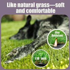 Alfombra de Césped Artificial TH-PAG-615 para Mascotas, Fácil de Mantener, Hojas Verdes Realistas, Perfecta para Entrenamiento en Interiores en Hogares Modernos - Product Image 3