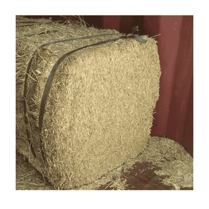 Paille de riz disponible à bas prix du Pakistan - Product Image 2