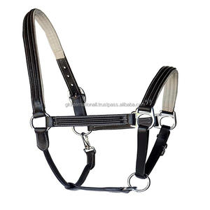 Triple couture blanc cuir rembourré cheval licou robuste double épais anglais cuir cheval course licou matériel en laiton - Product Image 6