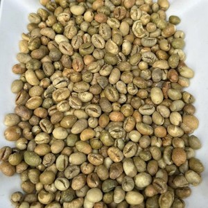 Premium Robusta <b>Coffee</b> <b>Beans</b> for Roasting Natural Process Green <b>Coffee</b> <b>Beans</b> size 13 Vietnam Highland Farm Direct Source - Product Image 4