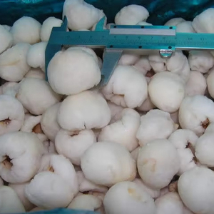 Offrez-vous le goût pur des litchis congelés transformés et congelés à leur apogée pour une qualité sans compromis - Product Image 1