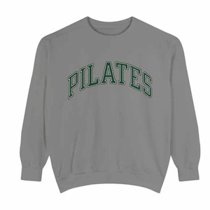 Pilates Custom <b>Mock</b> <b>Neck</b> Sweatshirt Women Men Ladies Unisex Chenille Letter Embroidery University College Fashion - Product Image 2