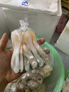 Cuillère de luxe plaquée argent en forme de coquillage avec long manche, fabriquée à partir de coquille de conque naturelle pour usage décoratif, vente au détail et exportation en gros - Product Image 2