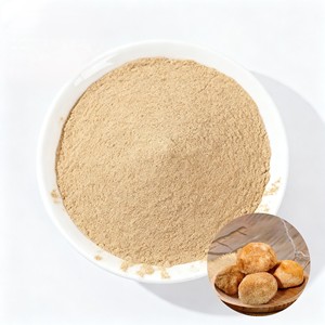 Polvo de Hongo Melena de León 100% Natural Secado por Aspersión, Polvo de Hongo Puro de Grado Alimenticio, Aumenta la Energía y la Resistencia Naturales - Product Image 1