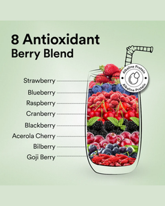 Proteína Vegetal Orgánica Vegana en Polvo, Sabor a Bayas Mixtas Canadienses, para la Recuperación Muscular, Baja en Azúcar, con Enzimas Digestivas y Superalimentos - Product Image 4