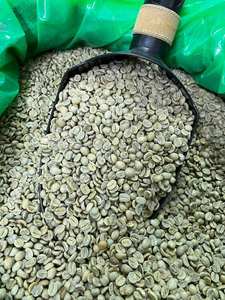 GRANOS DE CAFÉ VERDE, Granos de Café Verde Robusta y Arábica Vietnamita, Grado Limpio 1 S14 S16 S18, Mejor Precio, Venta al por Mayor, Bolsa de 60 kg, ODM/OEM - Product Image 5