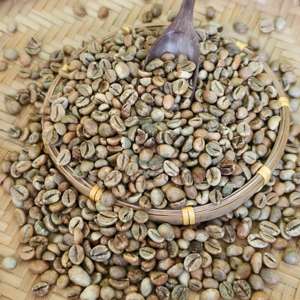 Café Robusta de qualité d'exportation standard, grain de café de calibre 16, faible teneur en humidité, matière première pour torréfaction, sac en jute de 60 kg, usage professionnel - Product Image 5