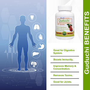 ผงสมุนไพร Guduchi สำหรับการปรับปรุงหัวใจและจิตใจของ Moonseed ระบบภูมิคุ้มกันย่อยอาหาร - Product Image 6