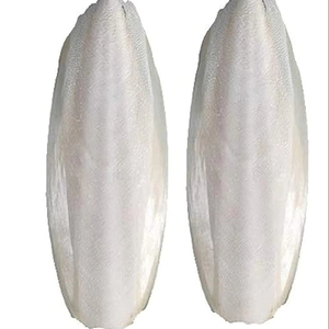 Quality Natural Dried <b>Cuttlefish</b> Bone Squid Bone at Factory Price. - Product Image 1