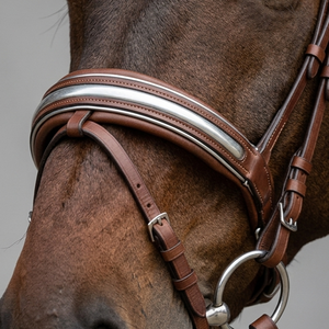 Brida de Doma para Caballo de Cuero de Grano Completo Color Castaño Premium con Corona Acolchada Anatómica, Acolchado Suave y Frontal con Incrustaciones Plateadas - Product Image 1