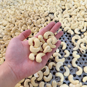 Fournisseur de confiance : Noix de cajou vietnamiennes, amandes de cajou en vrac à prix abordable, Kaju SANTIGO Caju - Product Image 2