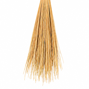 Traditional Bamboo Handle Coconut Stick Broom Flagged Bristle Medium Stiffness Eco-Friendly Classic Design for Outdoor Use - Product Image 6