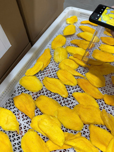 Mangues séchées douces de haute qualité en emballages personnalisés de 100g, 250g, 500g, 1000g, fabrication OEM au Vietnam - Product Image 2