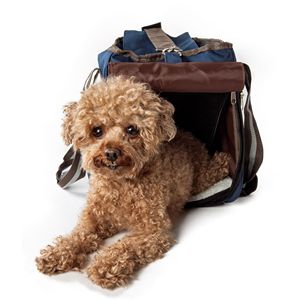 Trasportino per Animali Domestici in Tela alla Moda - Product Image 2