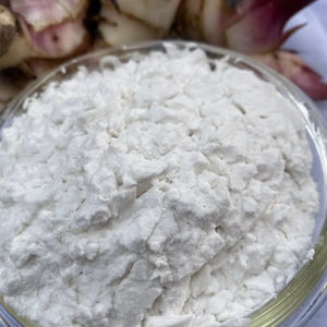 แป้งมันอ้อยออร์แกนิก ราคาดีที่สุด รสชาติธรรมชาติ สำหรับอาหารและวัตถุดิบ บรรจุในถุง นำเข้าจากเวียดนาม - Product Image 1