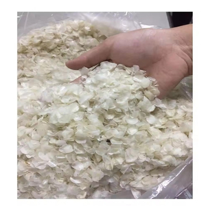 Escamas de Pescado Secas para la Utilización Sostenible de Recursos Marinos y Aplicaciones de Economía Circular - Product Image 2