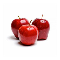 Groothandel verse rode appels bulk levering goedkope prijs exporteur met snelle levering