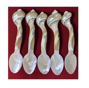 Turbo Shell mango 20cm tallado a mano madre de perla cuchara de cocina para el hogar cocina fiesta uso elegante cubiertos para restaurante - Product Image 1