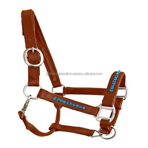 Licou en cuir rembourré fait à la main à double couture avec matériel en laiton nickelé solide et réglable - Product Image 1