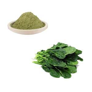 Polvo de extracto de hierbas de espinaca de grado alimenticio en embalaje de tambor Producto de extracto de planta Premium - Product Image 2