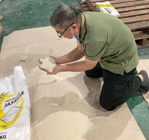 Riz Jasmin Brisé 100% du Vietnam Qualité Export Fabricant OEM 5kg 10kg 25kg 50kg Sac BOPP PP - ANNA DO VILACONIC - Product Image 1