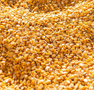 Maíz Amarillo y Blanco 2026, Maíz Amarillo Seco, Palomitas de Maíz, Maíz Blanco (NO OGM) para Consumo Humano - Product Image 1