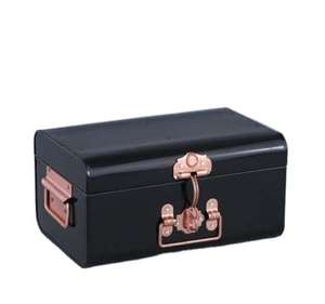 Ensemble de 2 coffres de rangement en métal de qualité supérieure, forme et taille personnalisées, pour vêtements, à prix compétitif. - Product Image 4