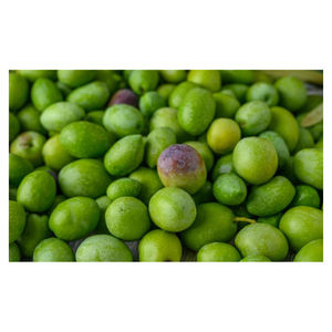 Aceitunas Verdes Frescas sin Piel, Estilo Tropical, para la Industria de Procesamiento, Enlatado y Empaquetado de Aceitunas - Product Image 2