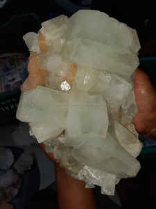 Natural Apophyllite Crystal Cluster Minerals Venta al por mayor Cluster para la venta Natural Apophylite Verde rosa - Product Image 3