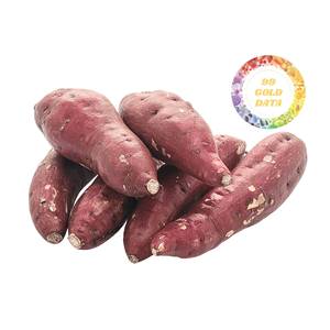 Patata Dulce Congelada al por Mayor, Variedad Amarilla Pre-vaporizada para el Mercado Minorista Japonés, Fuente Directa de Fábrica, Bajo Costo - Product Image 1