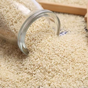 Healthy Ingredient For Bread Bakery Sesame Seeds Premium Grade Natural Raw Cleaned Seeds Rich Aroma <b>Confectionery</b> Cooking - Product Image 2