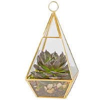 Terrarium en verre cristallin inspiré des cabanes, avec détails en fer doré, vase de table pour plantes aériennes et succulentes, design artistique