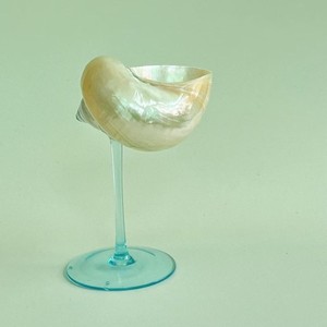 Verre à vin en verre et coquillage de mer de la plus haute qualité, conçu pour le confort et le style. Idéal pour les événements et fêtes à thème. - Product Image 6