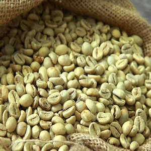 เมล็ดกาแฟโรบัสต้าสำหรับรสชาติเอสเพรสโซ่เข้มข้น คั่วสดใหม่ คุณภาพเยี่ยม เหมาะสำหรับร้านกาแฟ ร้านอาหาร และการชงกาแฟที่บ้าน - Product Image 2